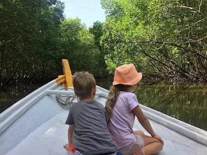 Langkawi Mangrove Tour