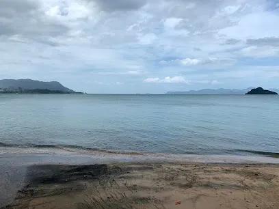 Pantai Pasir Hitam (Black Sand Beach)