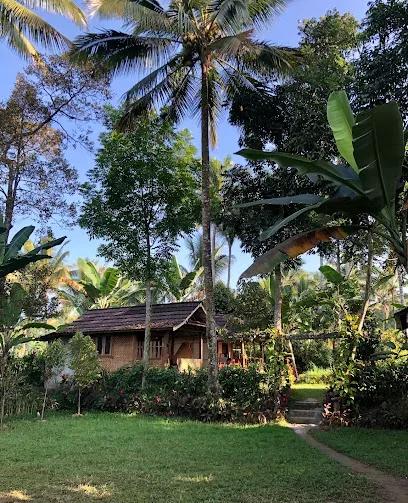 Banana Bungalows Tetebatu